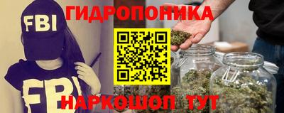 jwh Будённовск