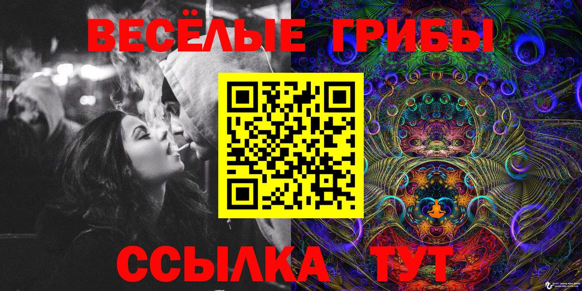 Волоколамск  сколько стоит  Вход с VPN  Псилоцибиновые грибы MAGIC MUSHROOMS  Галлюциногенные грибы GOLDEN TEACHER 