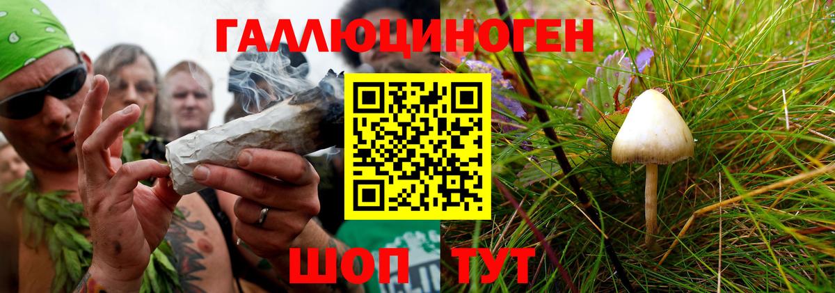 Галлюциногенные грибы ЛСД Волоколамск